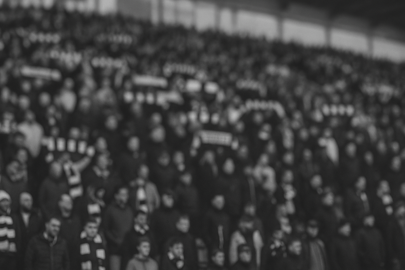 Gateshead – FA CUP | Gateshead to face Halesowen Town or Aveley in fourth round qualifying